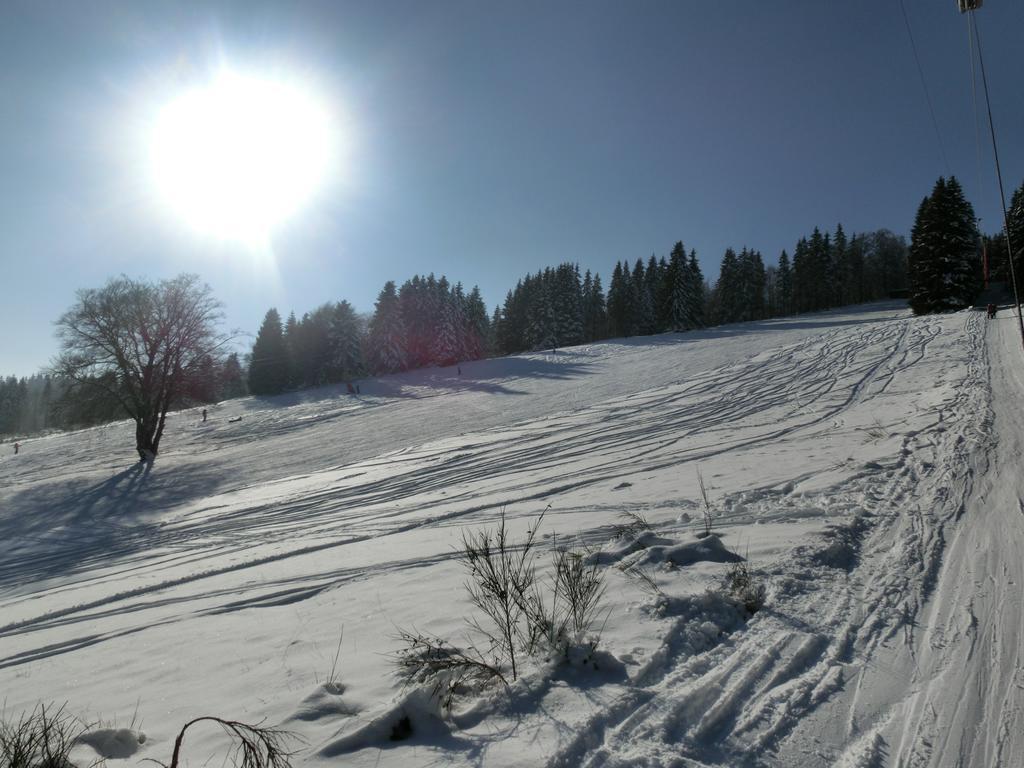 Ferienwohnung "Kleines Glueck" In Winterberg-Niedersfeld Dış mekan fotoğraf